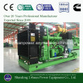 Зеленая Энергия 400 кВт газовый генератор биомассы установить с Китая Цена Производство 